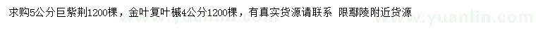 求購(gòu)5公分巨紫荊、4公分金葉復(fù)葉槭