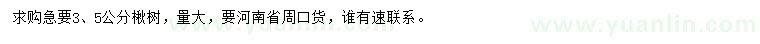 求購3、5公分楸樹