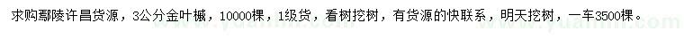 求購3公分金葉槭