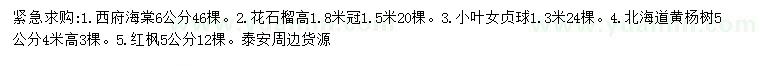求購西府海棠、花石榴、小葉女貞等