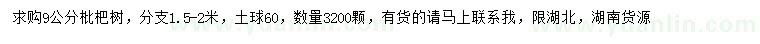 求購9公分枇杷樹