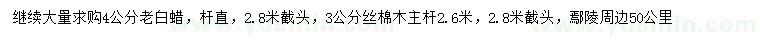 求購(gòu)4公分老白蠟、3公分絲棉木