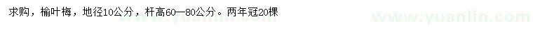 求購地徑10公分榆葉梅