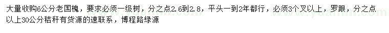 求購6公分老國槐