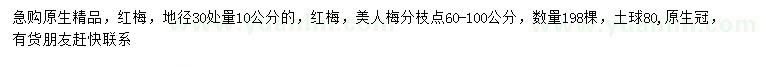 求購地徑30公分量10公分精品紅梅、美人梅