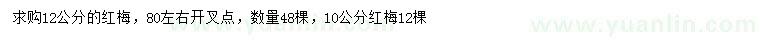 求購10、12公分紅梅
