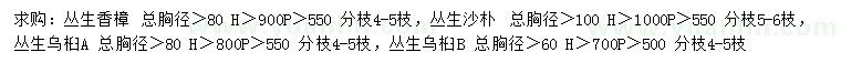 求購(gòu)叢生香樟、叢生沙樸、叢生烏桕