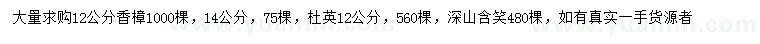 求購香樟、杜英、深山含笑