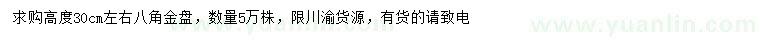 求購高30公分左右八角金盤