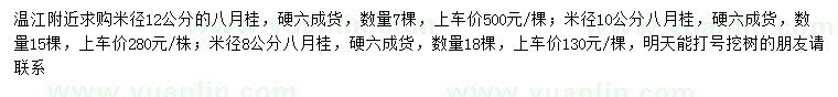 求購米徑8、10、12公分八月桂