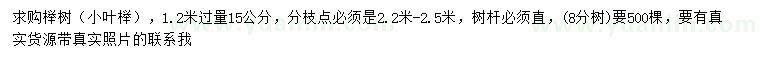求購1.2米量15公分櫸樹