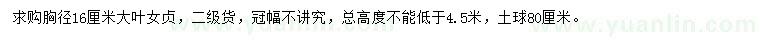 求購胸徑16公分大葉女貞