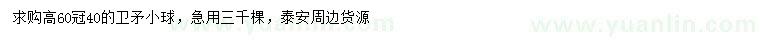 求購(gòu)高60公分衛(wèi)矛小球