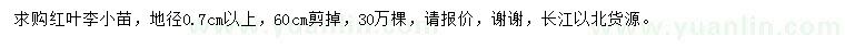 求購(gòu)地徑0.7公分以上紅葉李小苗