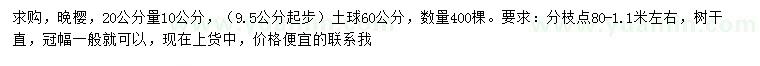 求購20公分量10公分晚櫻