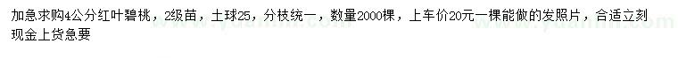 求購4公分紅葉碧桃