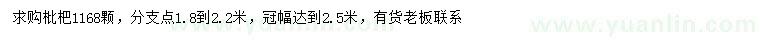 求購(gòu)冠幅2.5米枇杷