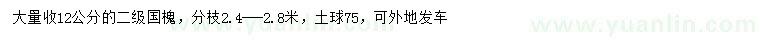 求購12公分國槐