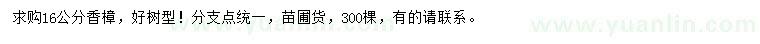 求購16公分香樟