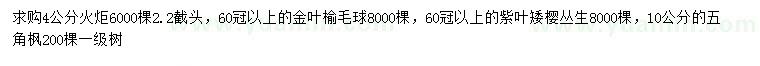 求購火炬、金葉榆、紫葉矮櫻等