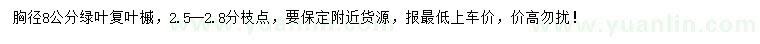 求購(gòu)8公分綠葉復(fù)葉槭
