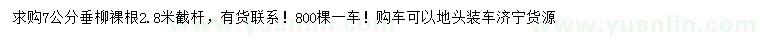 求購(gòu)7公分垂柳