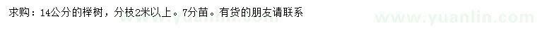 求購14公分櫸樹