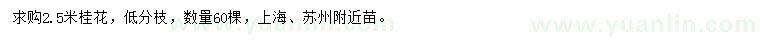 求購2.5米桂花