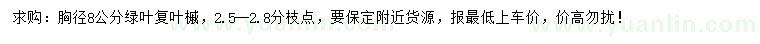 求購胸徑8公分綠葉復葉槭