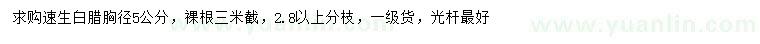 求購胸徑5公分速生白臘