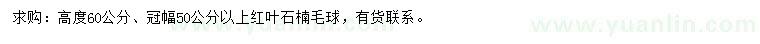 求購(gòu)高60公分紅葉石楠