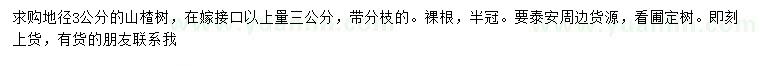求購地徑3公分山楂樹