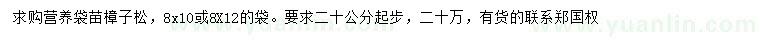 求購(gòu)20公分起步樟子松