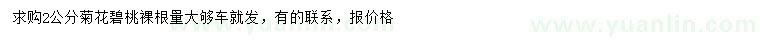 求購2公分菊花碧桃