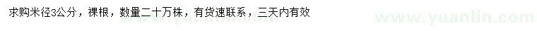 求購米徑3公分榆樹