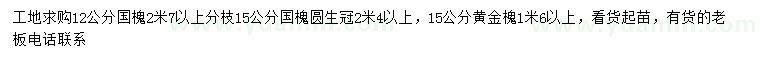 求購12、15公分國槐、15公分黃金槐