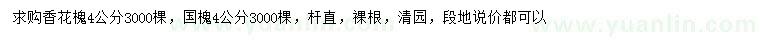 求購(gòu)4公分香花槐、國(guó)槐