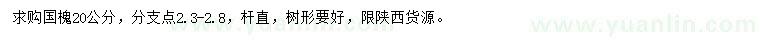 求購20公分國槐