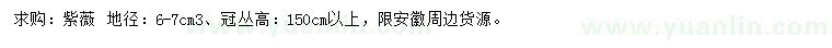 求購地徑6-7公分紫薇
