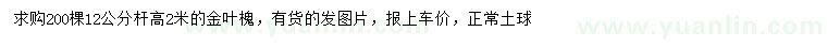 求購12公分金葉槐