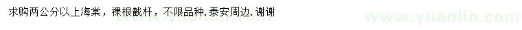 求購(gòu)2公分以上海棠