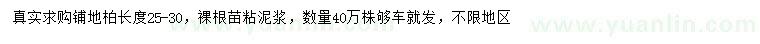 求購25-30公分鋪地柏