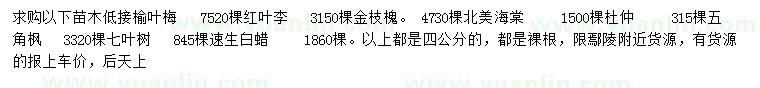 求購榆葉梅、紅葉李、金枝槐等