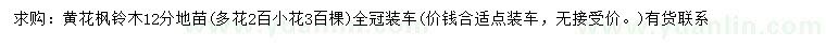 求購12公分黃花楓鈴木