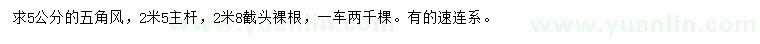 求購5公分五角楓