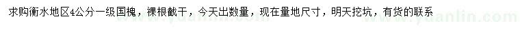 求購4公分國槐