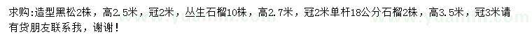 求購造型黑松、叢生石榴、單桿石榴