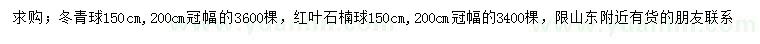 求購(gòu)冠幅150、200公分冬青球、紅葉石楠球