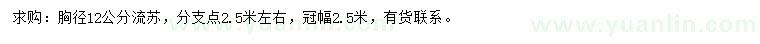 求購胸徑12公分分流蘇