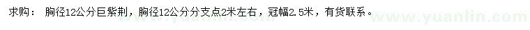 求購胸徑12公分巨紫荊